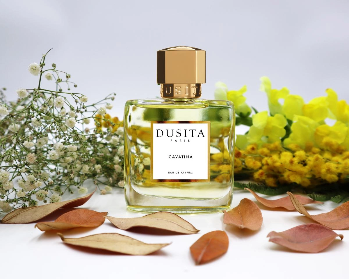 Dusita Cavatina Dusita Cavatina