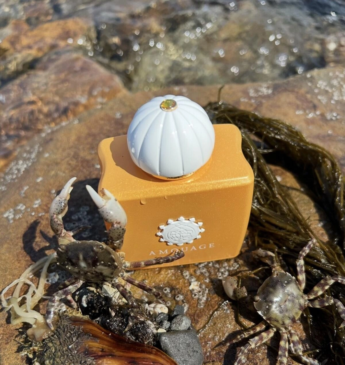 Amouage Beach Hut Woman Amouage Beach Hut Woman
