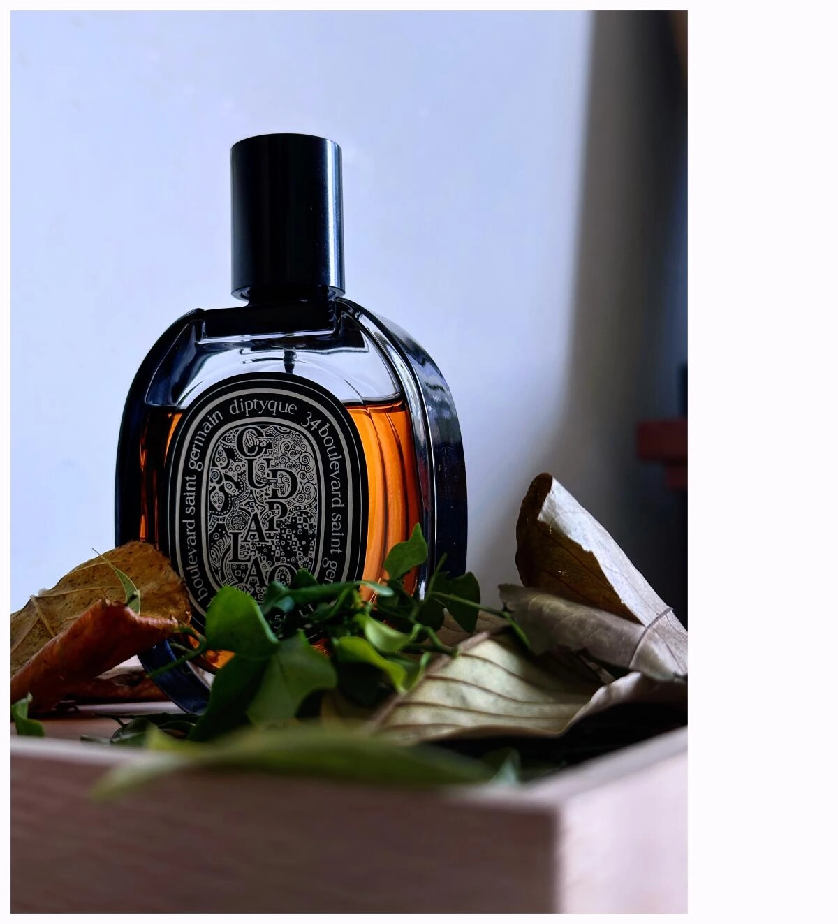 Diptyque Oud Palao Diptyque Oud Palao