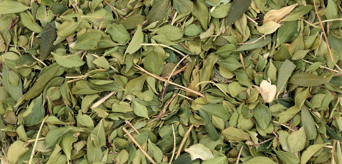 Фото Бучу или Агатосма