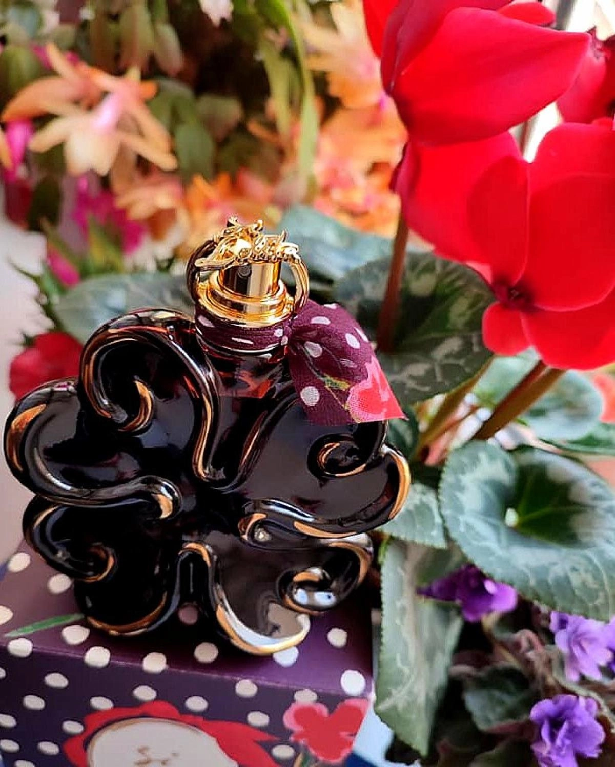 Lolita Lempicka Illusions Noires Si Lolita Eau de Minuit Lolita Lempicka Illusions Noires Si Lolita Eau de Minuit