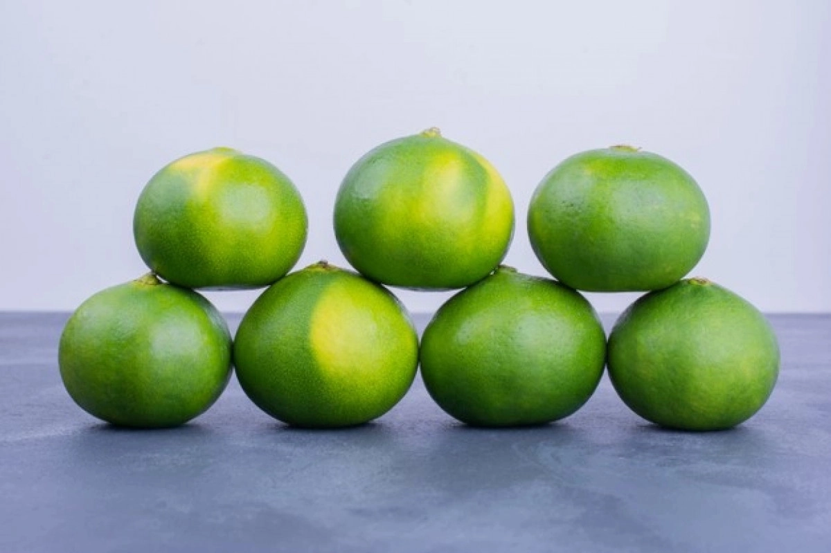 Фото Зеленый танжерин