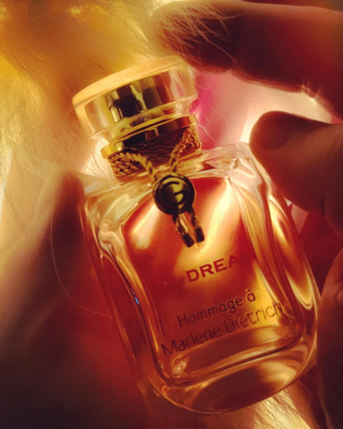 Gres My Dream Hommage a Marlene Dietrich Gres My Dream Hommage a Marlene Dietrich