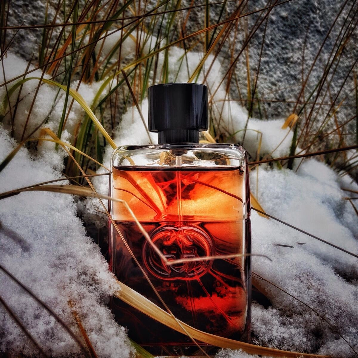 Gucci Guilty Absolute Gucci Guilty Absolute