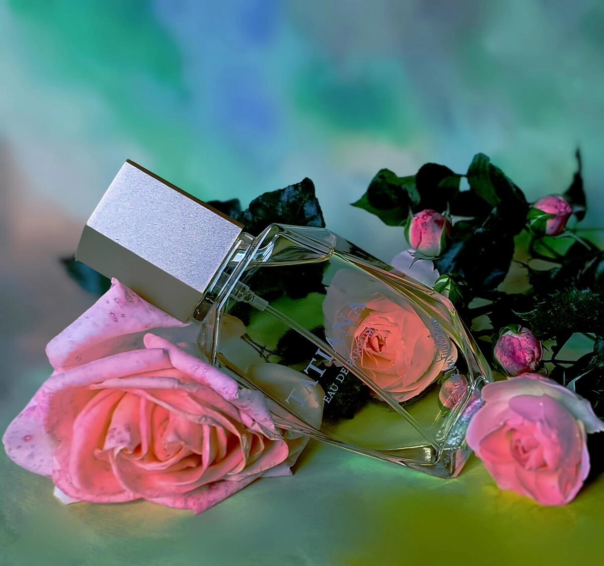Diane Von Furstenberg Tatiana Diane Von Furstenberg Tatiana