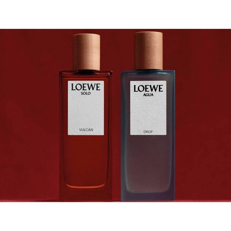 Фото Loewe Solo Vulcan