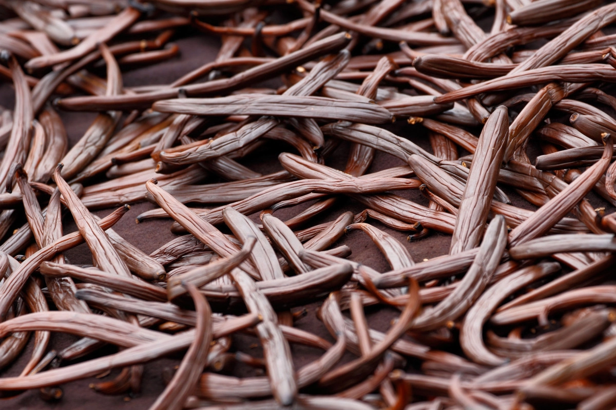 Фото Ваниль