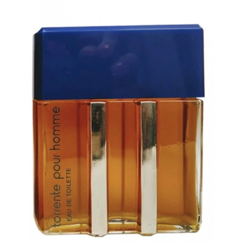 Фото Torrente Pour Homme