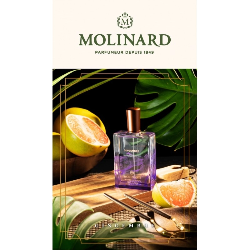 Фото Molinard Gingembre