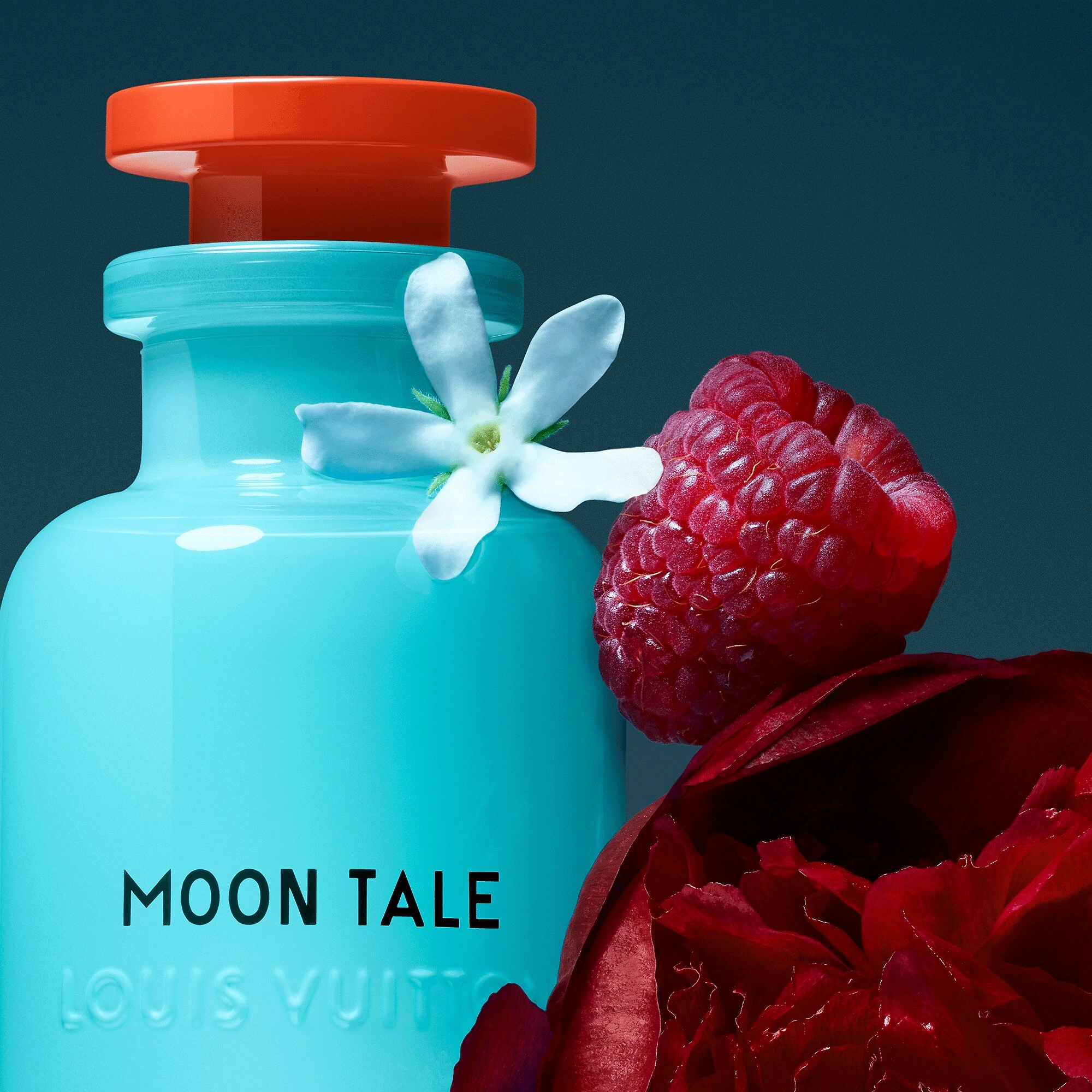 Фото Louis Vuitton Moon Tale