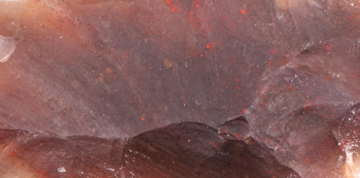 Фото Кремень