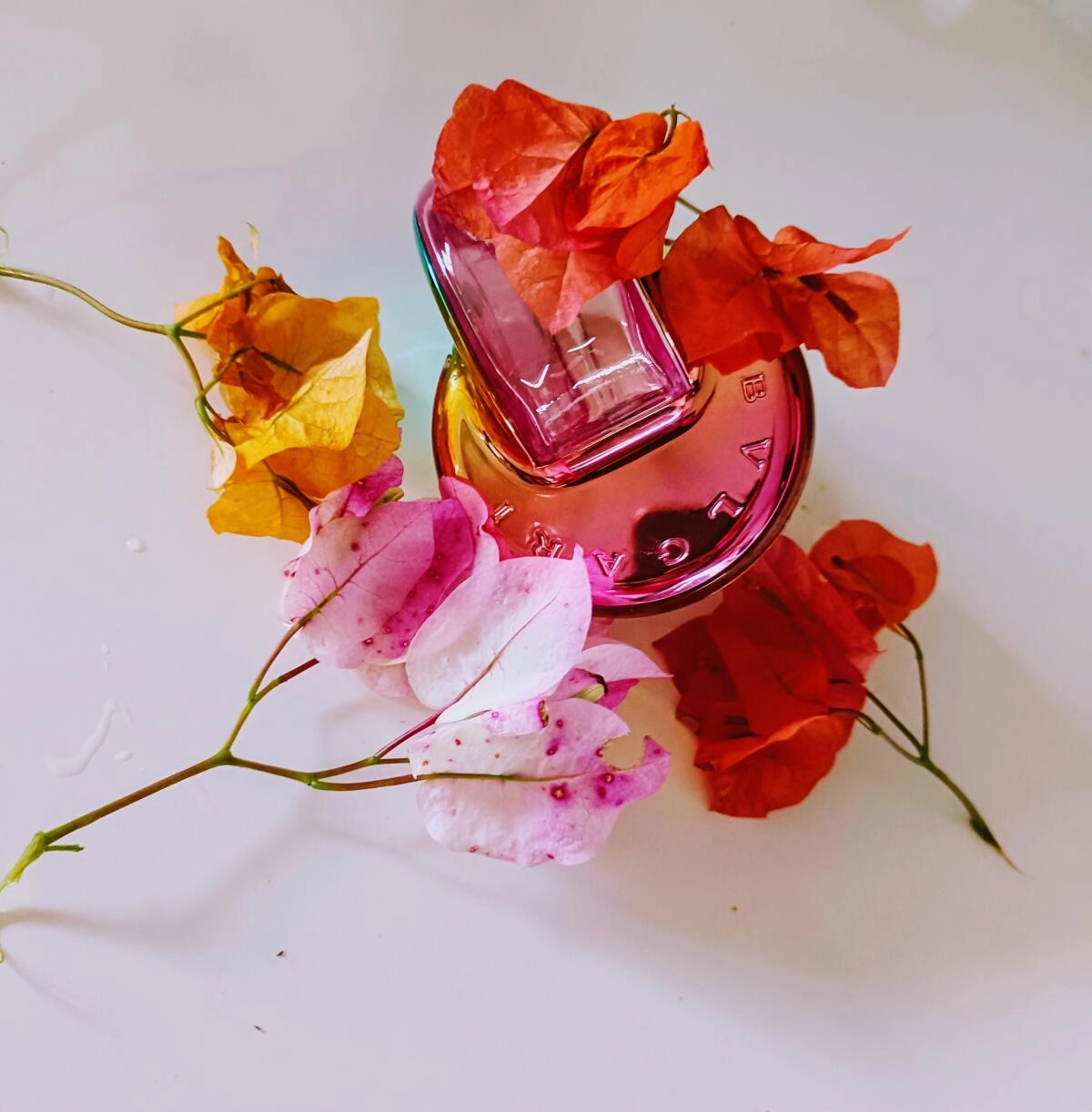 BVLGARI Omnia Floral by Mary Katrantzou BVLGARI Omnia Floral by Mary Katrantzou