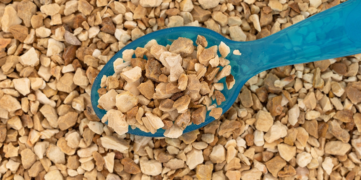 Фото Корень ириса