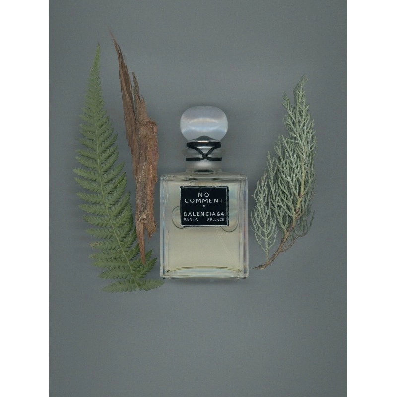 Фото Balenciaga No Comment