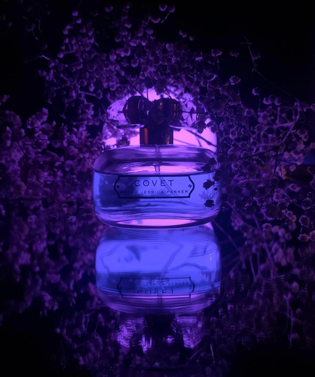 Sarah Jessica Parker Covet Pure Bloom Sarah Jessica Parker Covet Pure Bloom