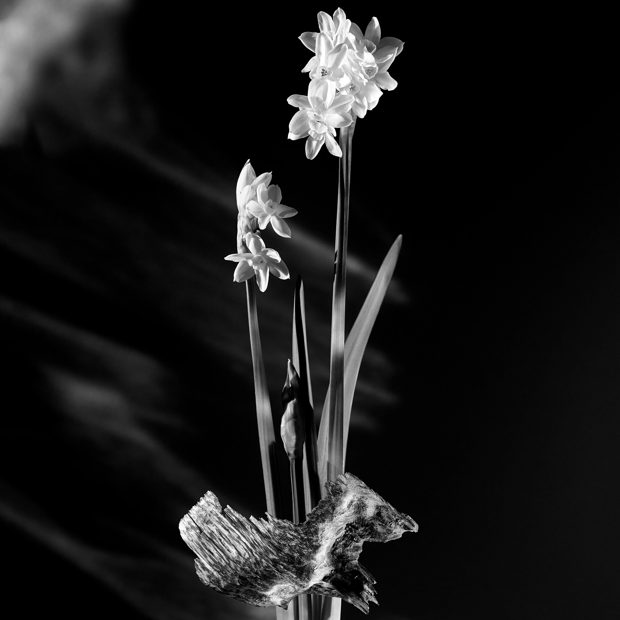 Фото Louis Vuitton Matière Noire