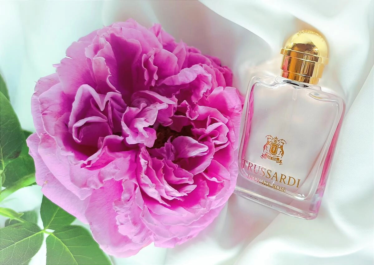 Trussardi Delicate Rose Trussardi Delicate Rose