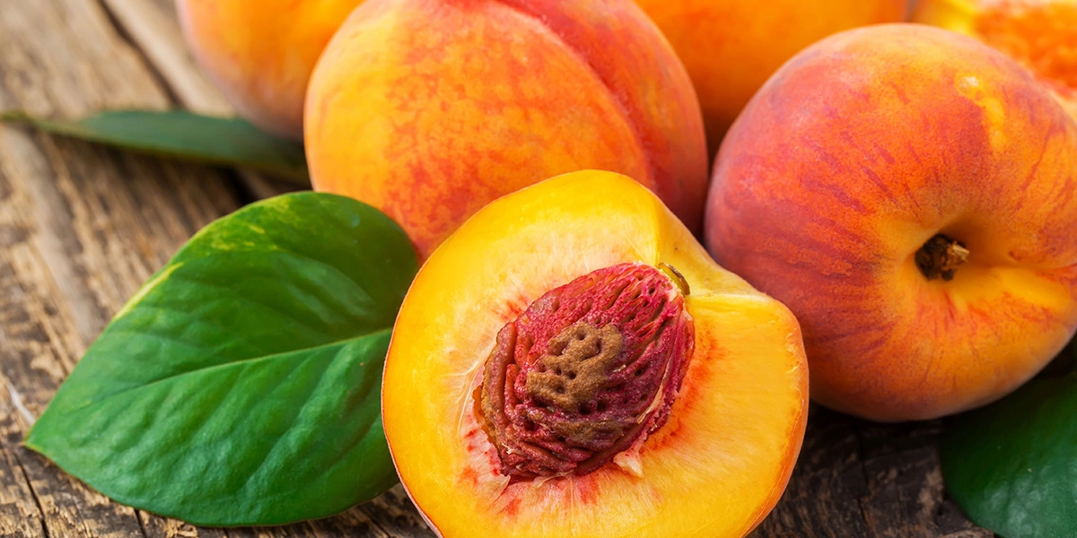 Фото Персик