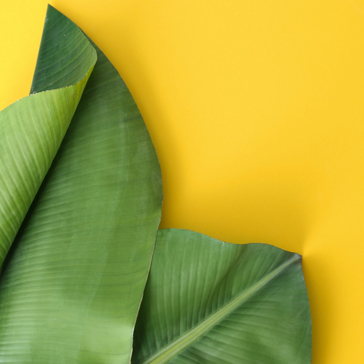 Фото Амилсалицилат