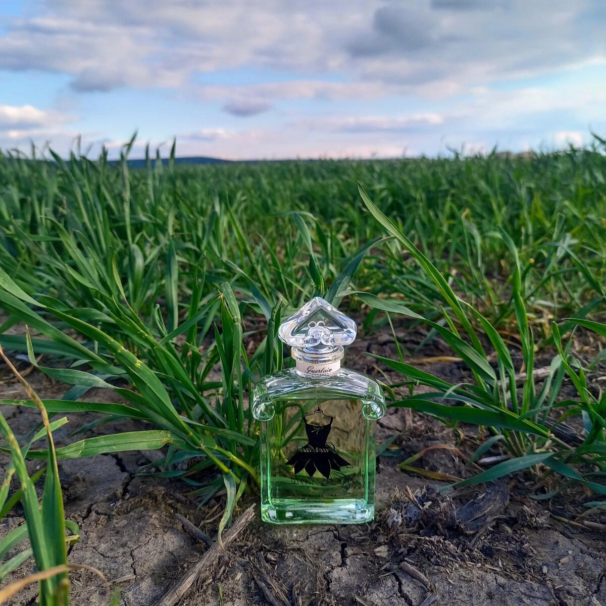 Guerlain La Petite Robe Noir Ma Robe Petales Fraiche Guerlain La Petite Robe Noir Ma Robe Petales Fraiche