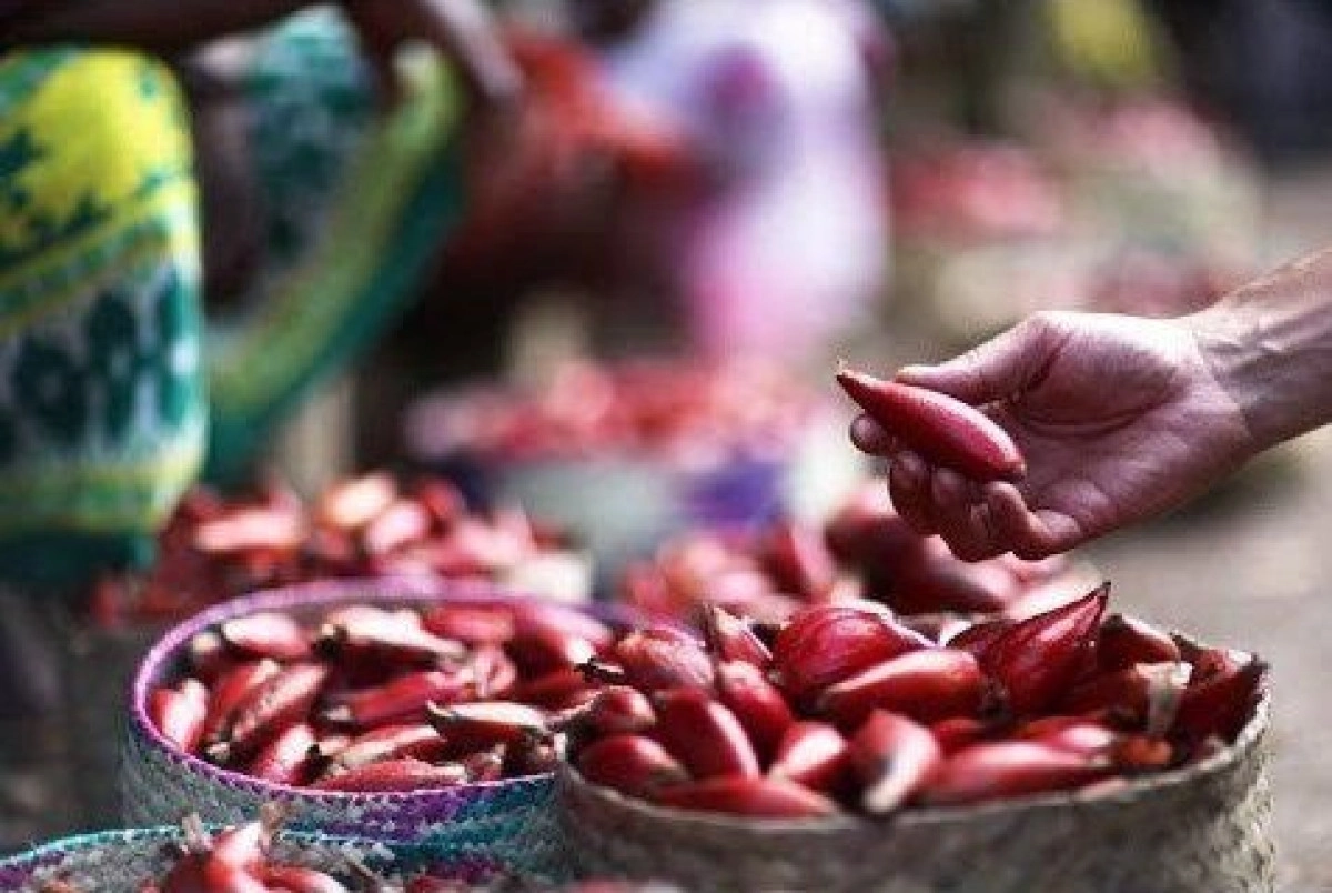 Фото Лонгоза