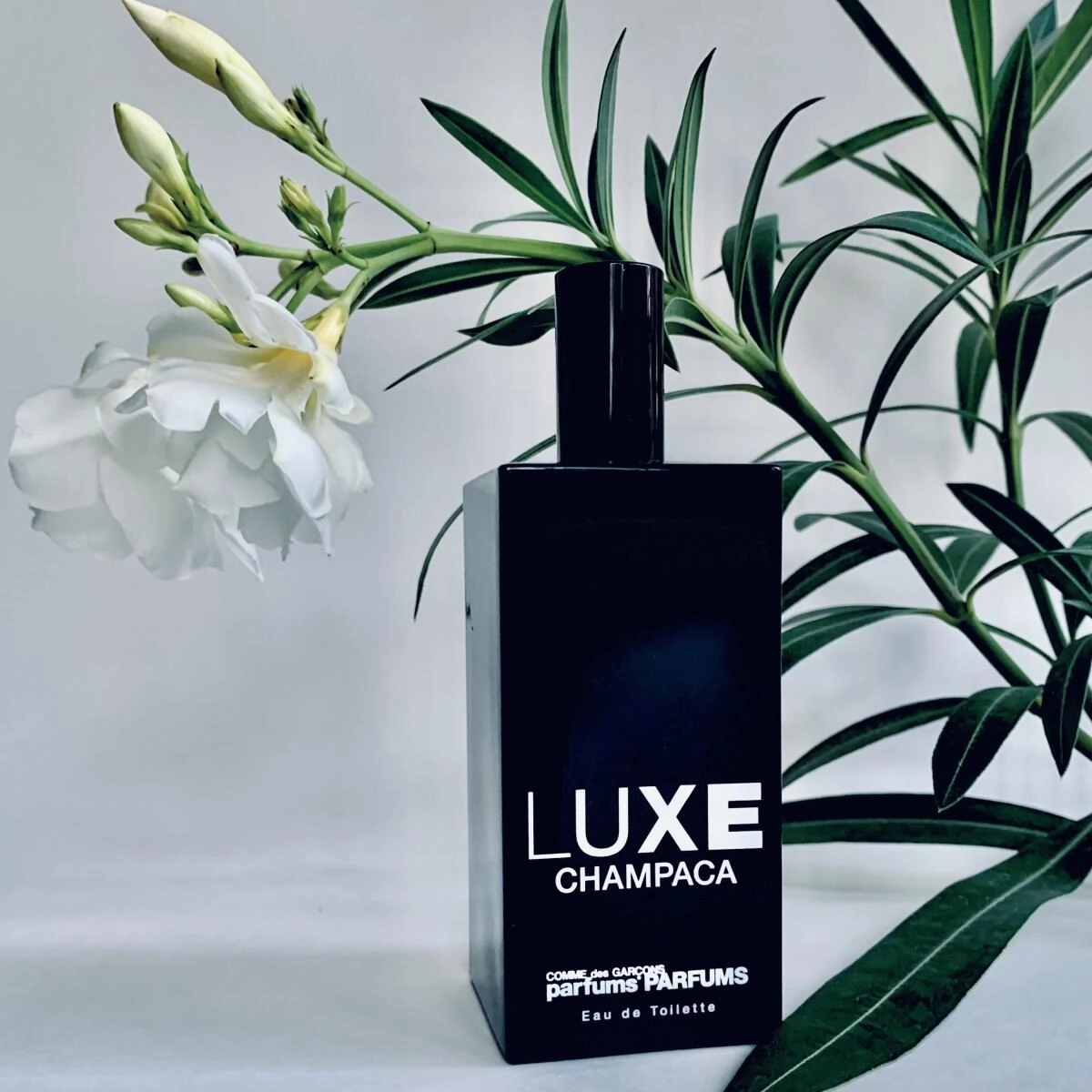 Comme des Garcons Luxe Champaca Eau de Toilette Comme des Garcons Luxe Champaca Eau de Toilette