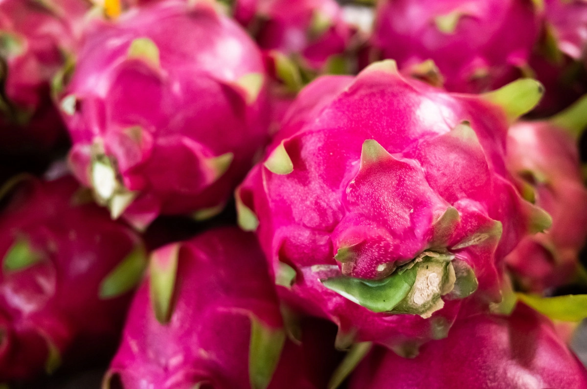 Фото Питахайя