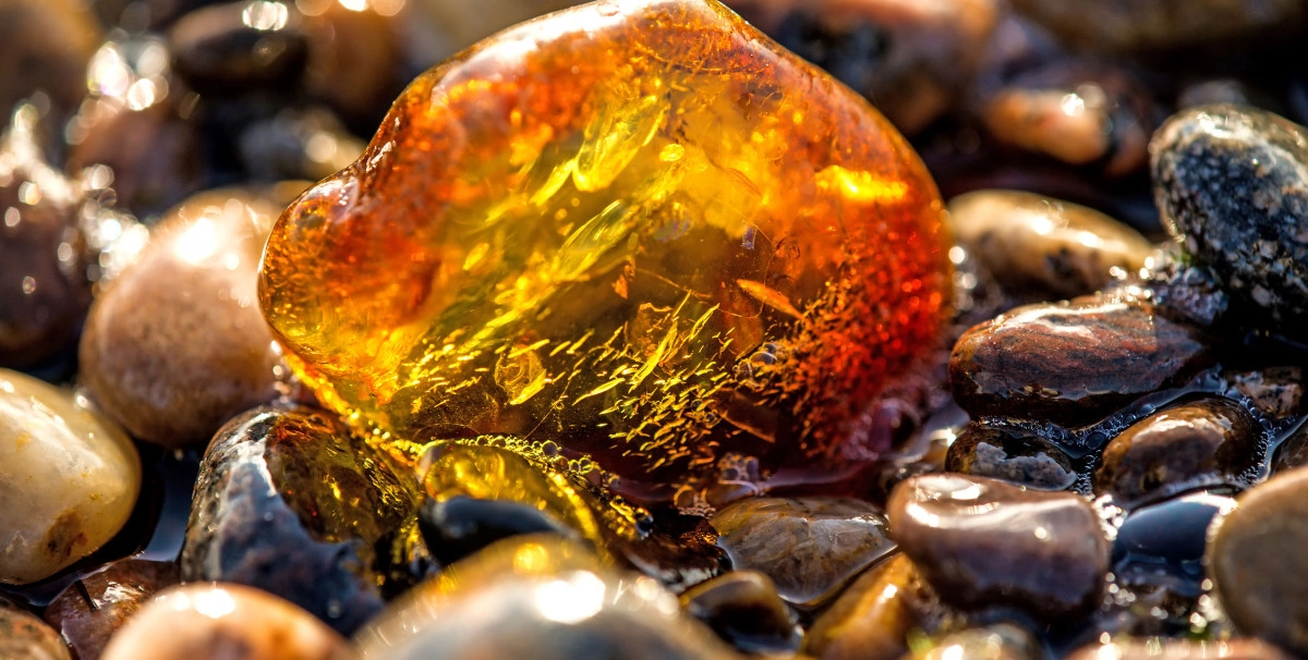 Фото Амбраром