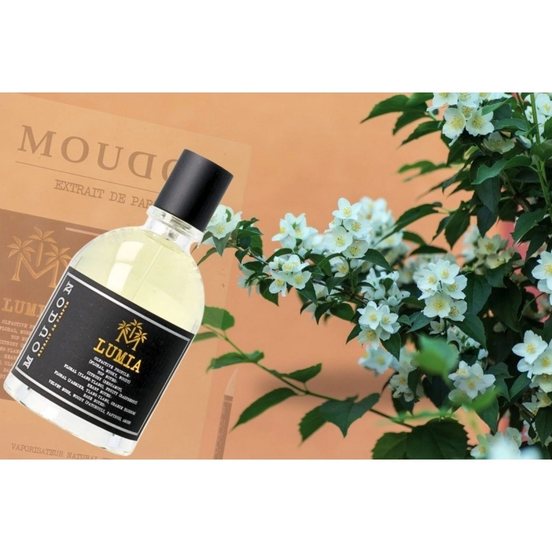 Фото Moudon Lumia