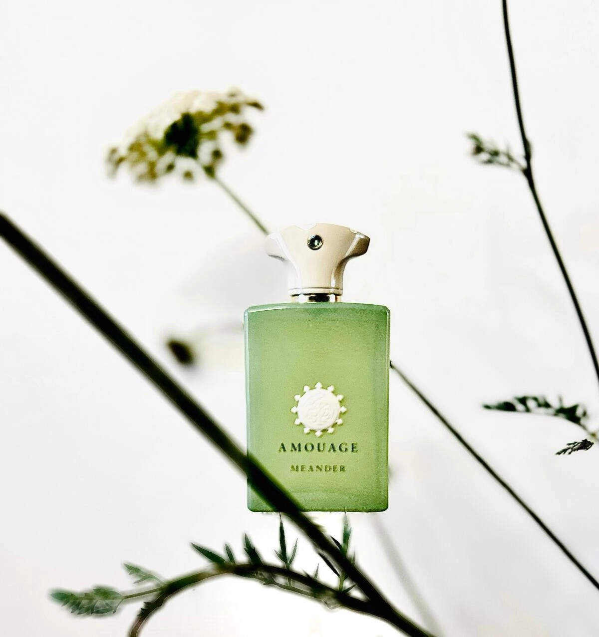 Amouage Meander Amouage Meander