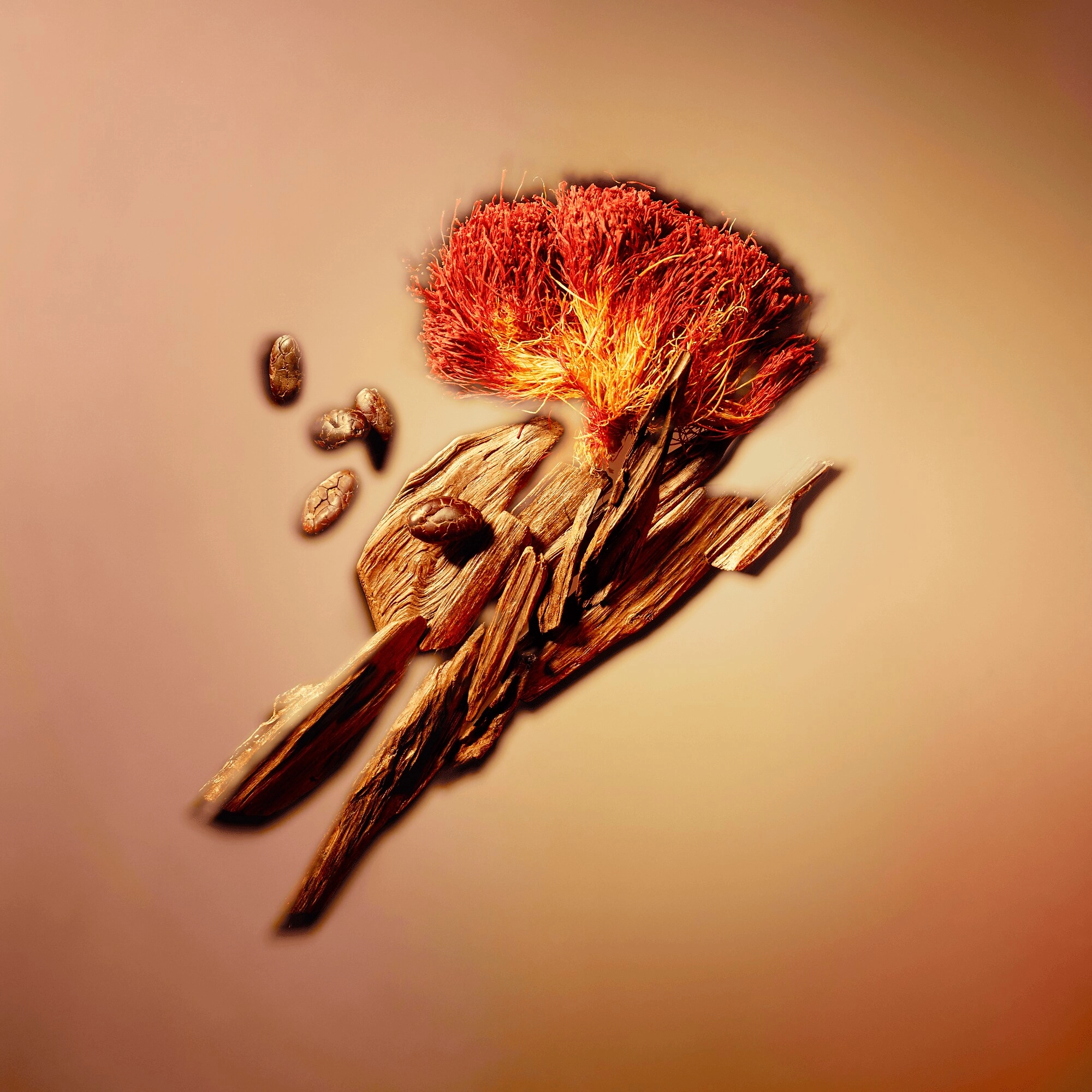 Фото Louis Vuitton Nouveau Monde