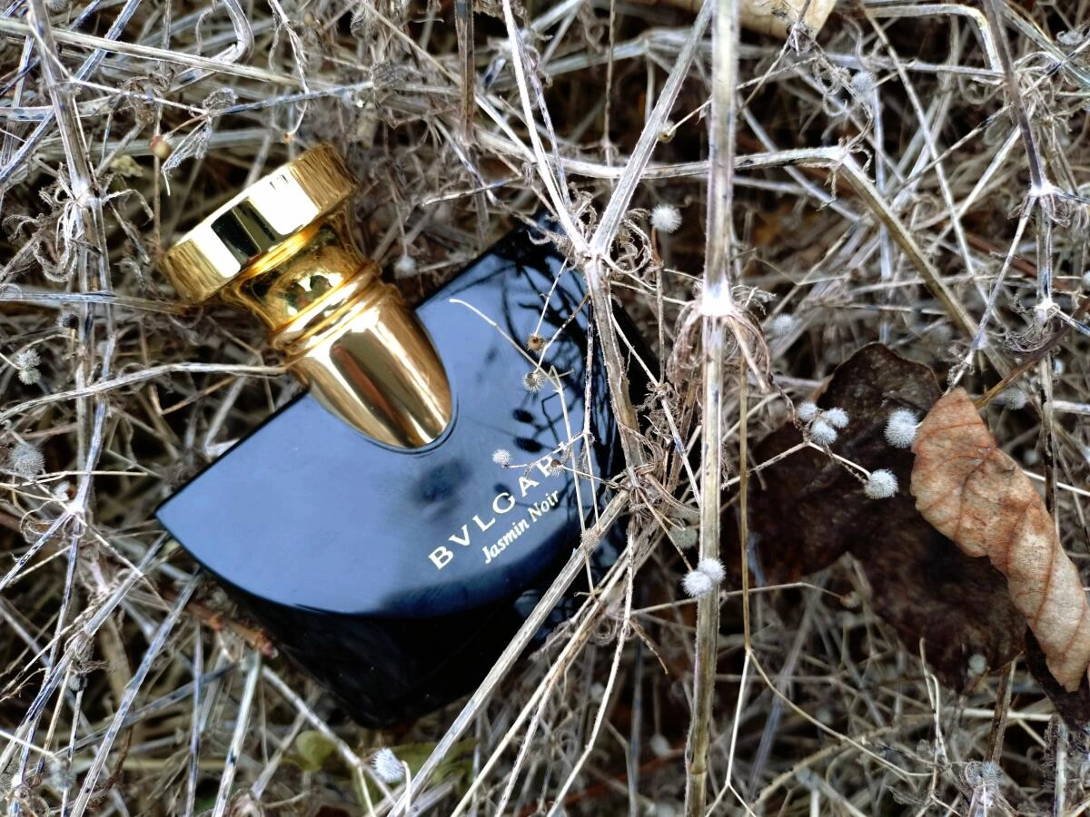 BVLGARI Jasmin Noir BVLGARI Jasmin Noir