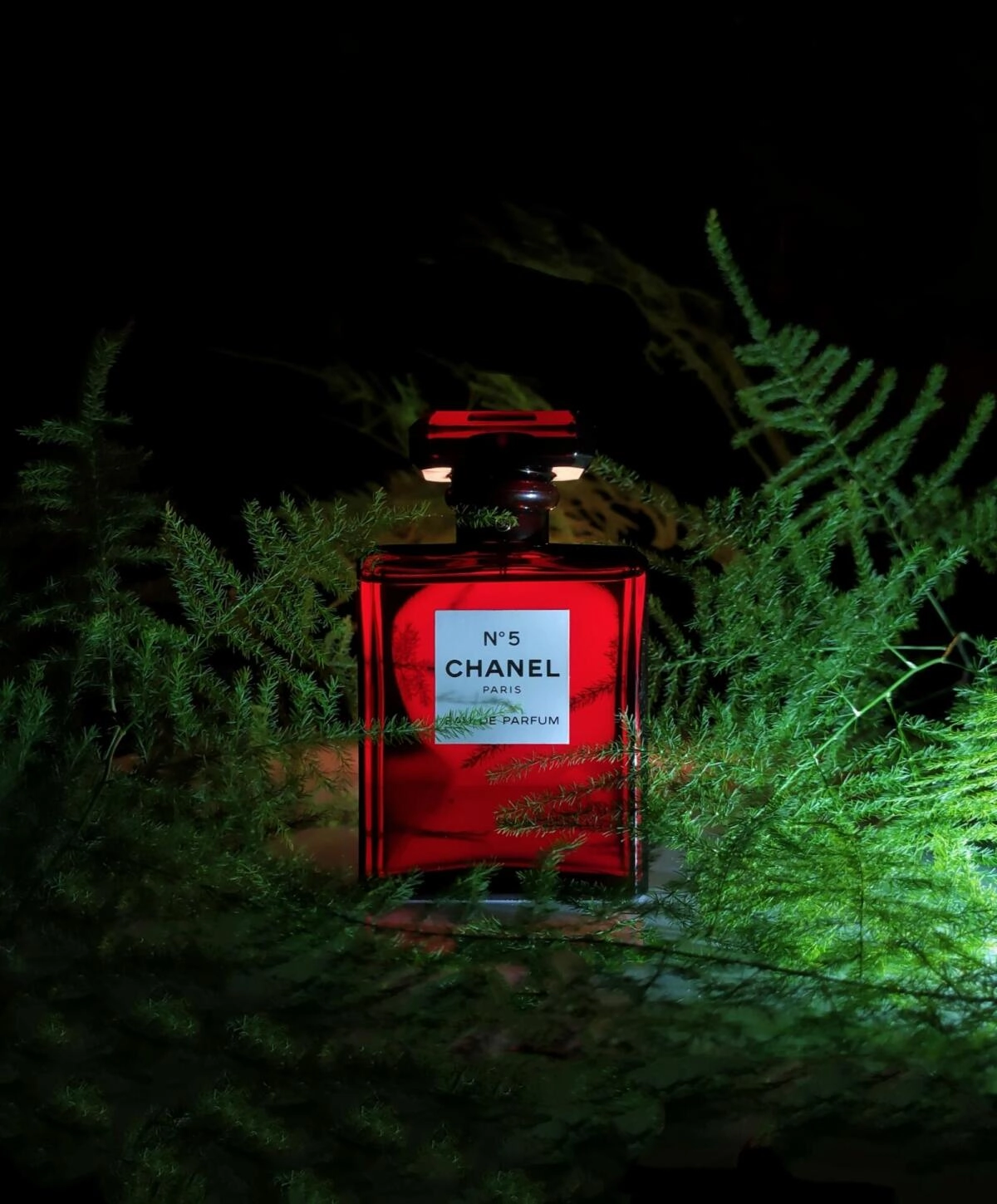 Chanel №5 Eau de Parfum Red Edition Chanel №5 Eau de Parfum Red Edition
