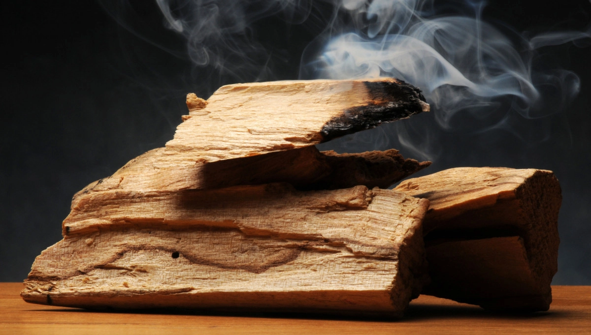 Фото Пало Санто