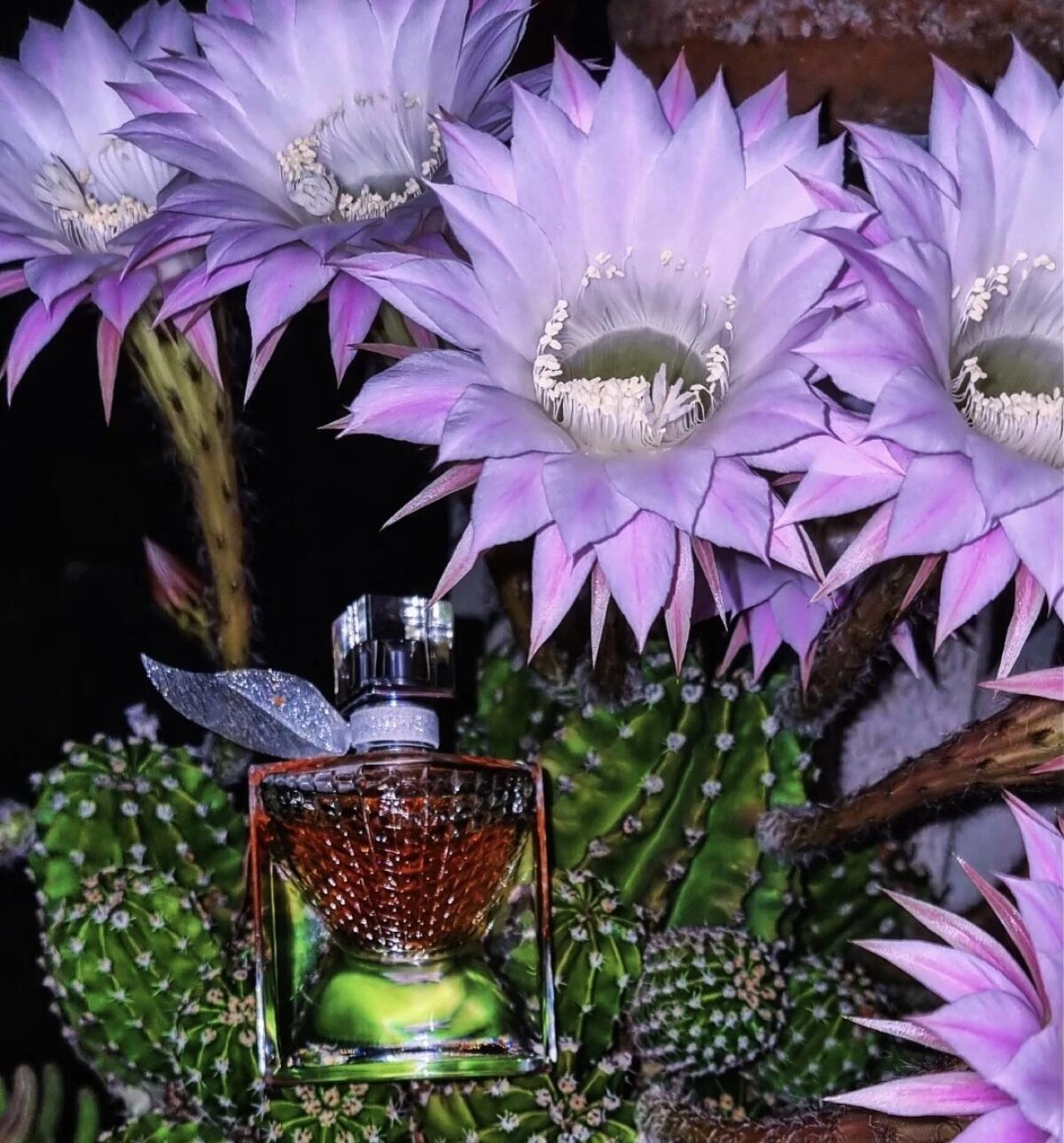Lancome La Vie Est Belle L’Eclat Lancome La Vie Est Belle L’Eclat