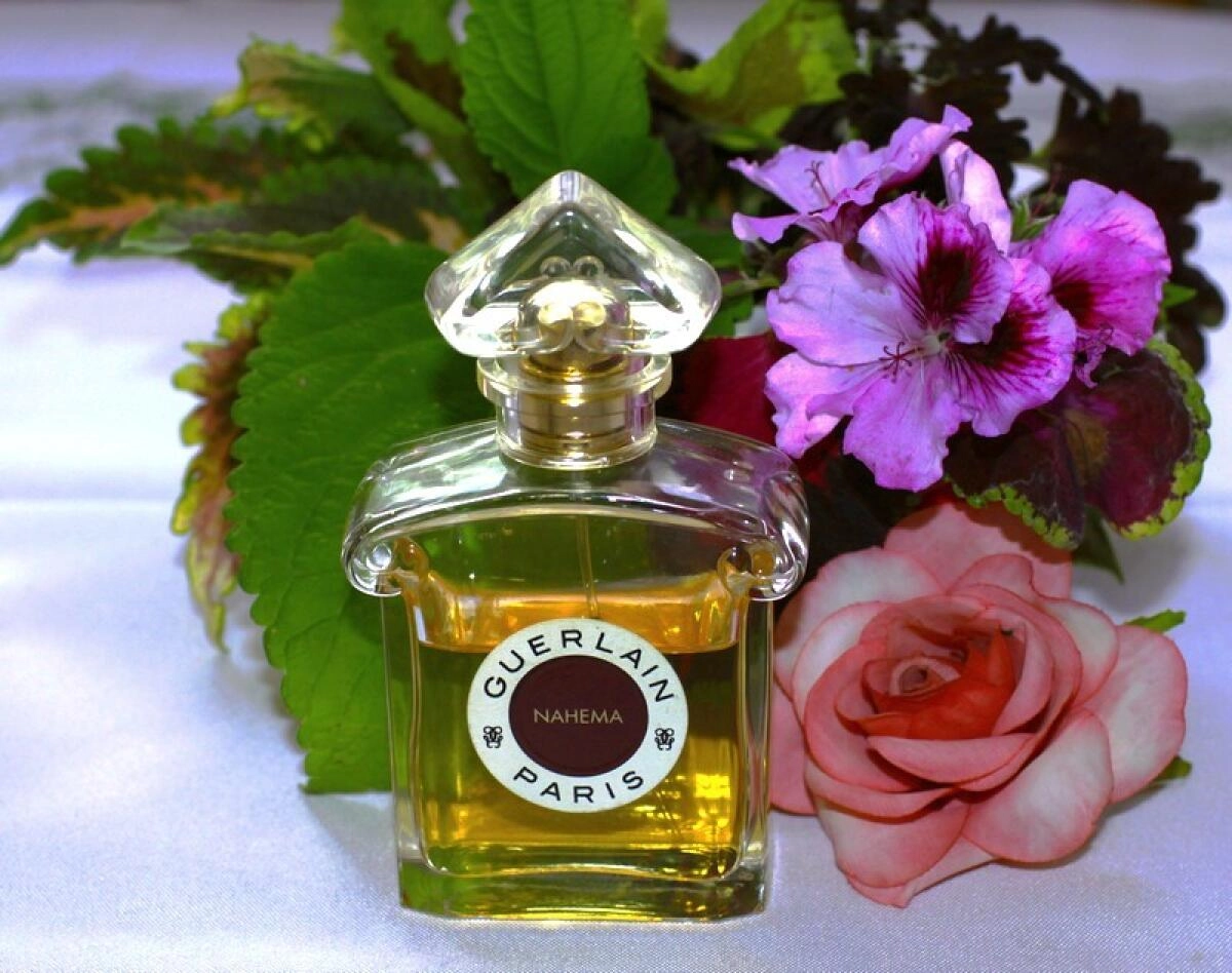 Guerlain Nahema Guerlain Nahema
