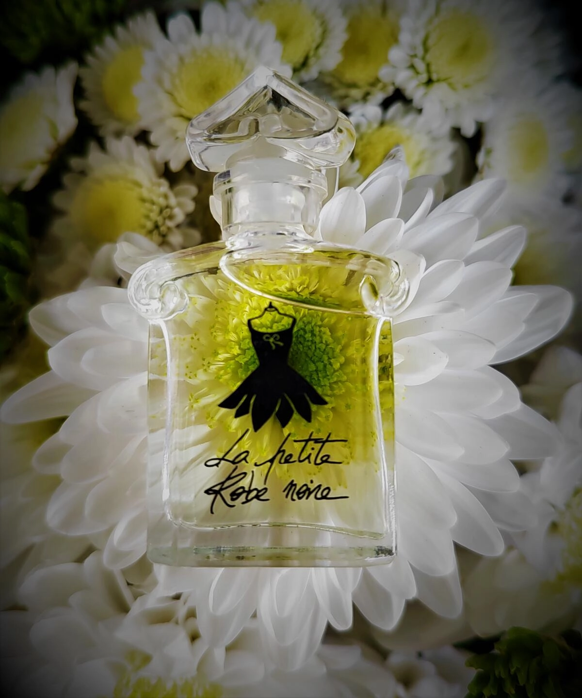 Guerlain La Petite Robe Noir Ma Robe Petales Fraiche Guerlain La Petite Robe Noir Ma Robe Petales Fraiche