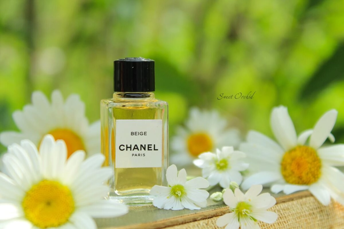Chanel Beige Chanel Beige
