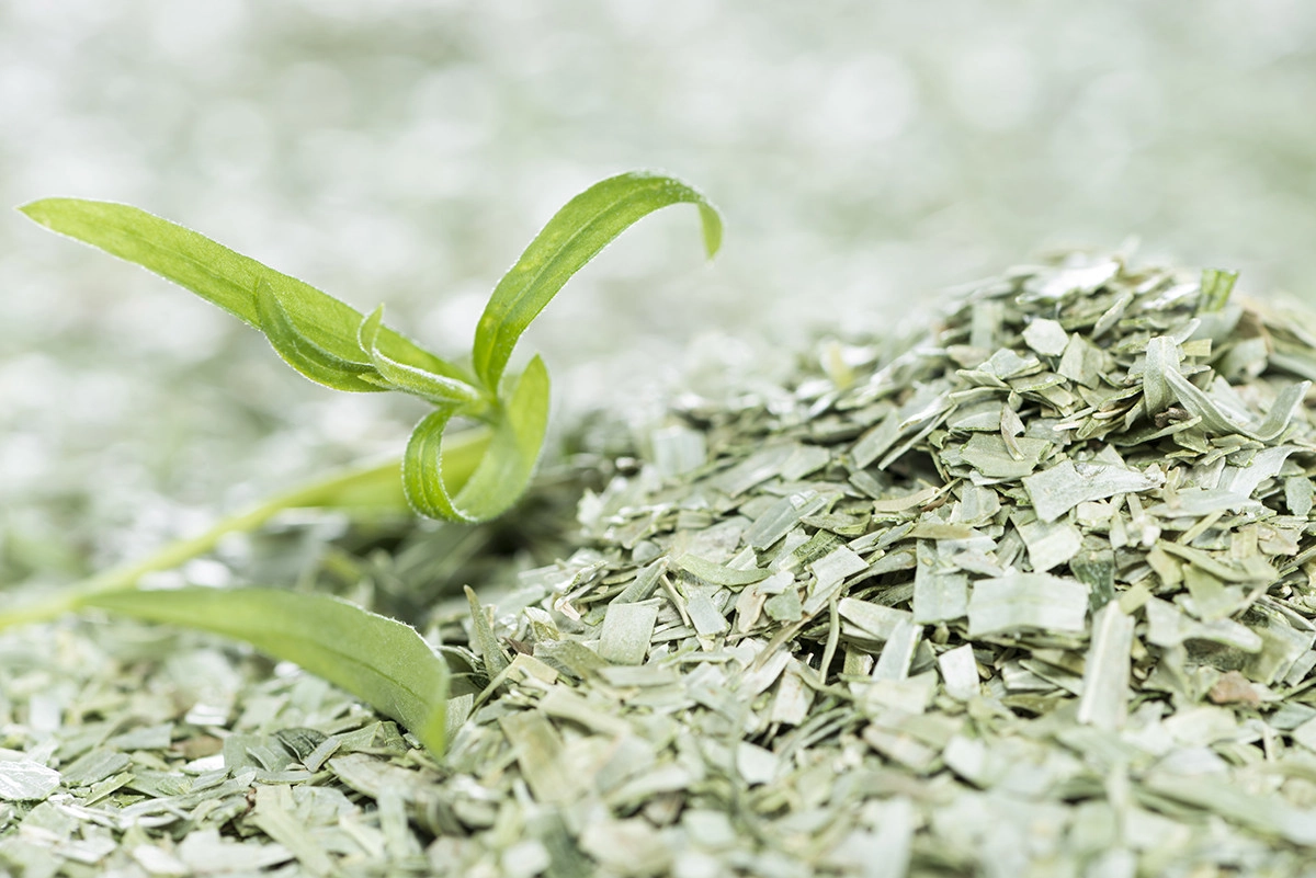 Фото Эстрагон