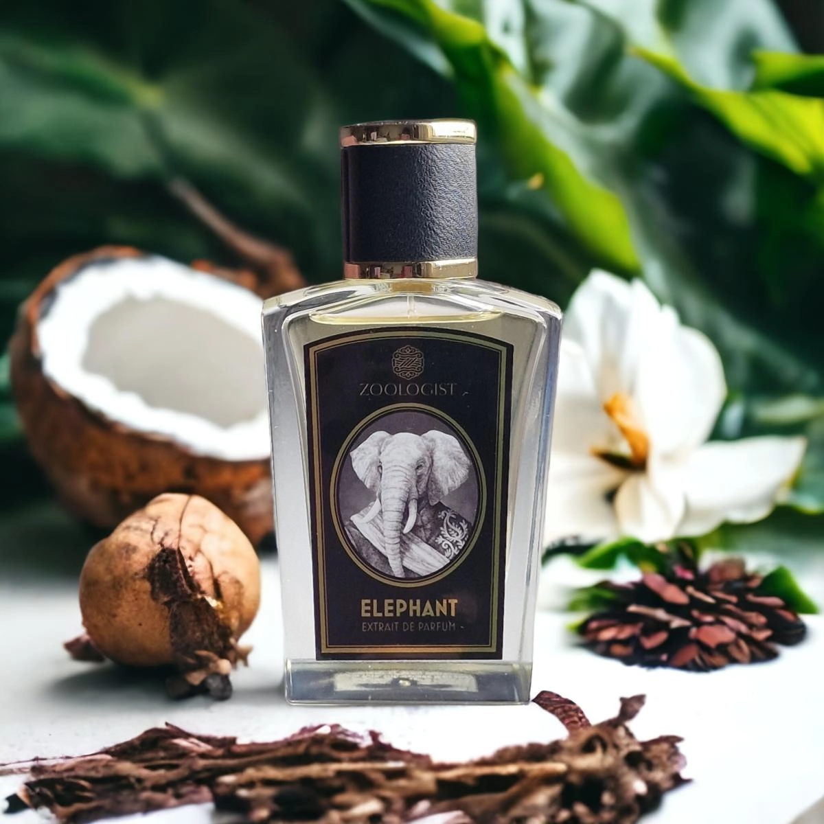 Zoologist Perfumes Elephant Zoologist Perfumes Elephant