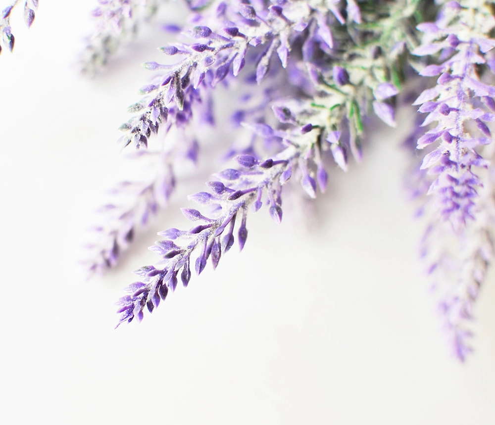 Creations Aromatiques (Креасьон Ароматик)