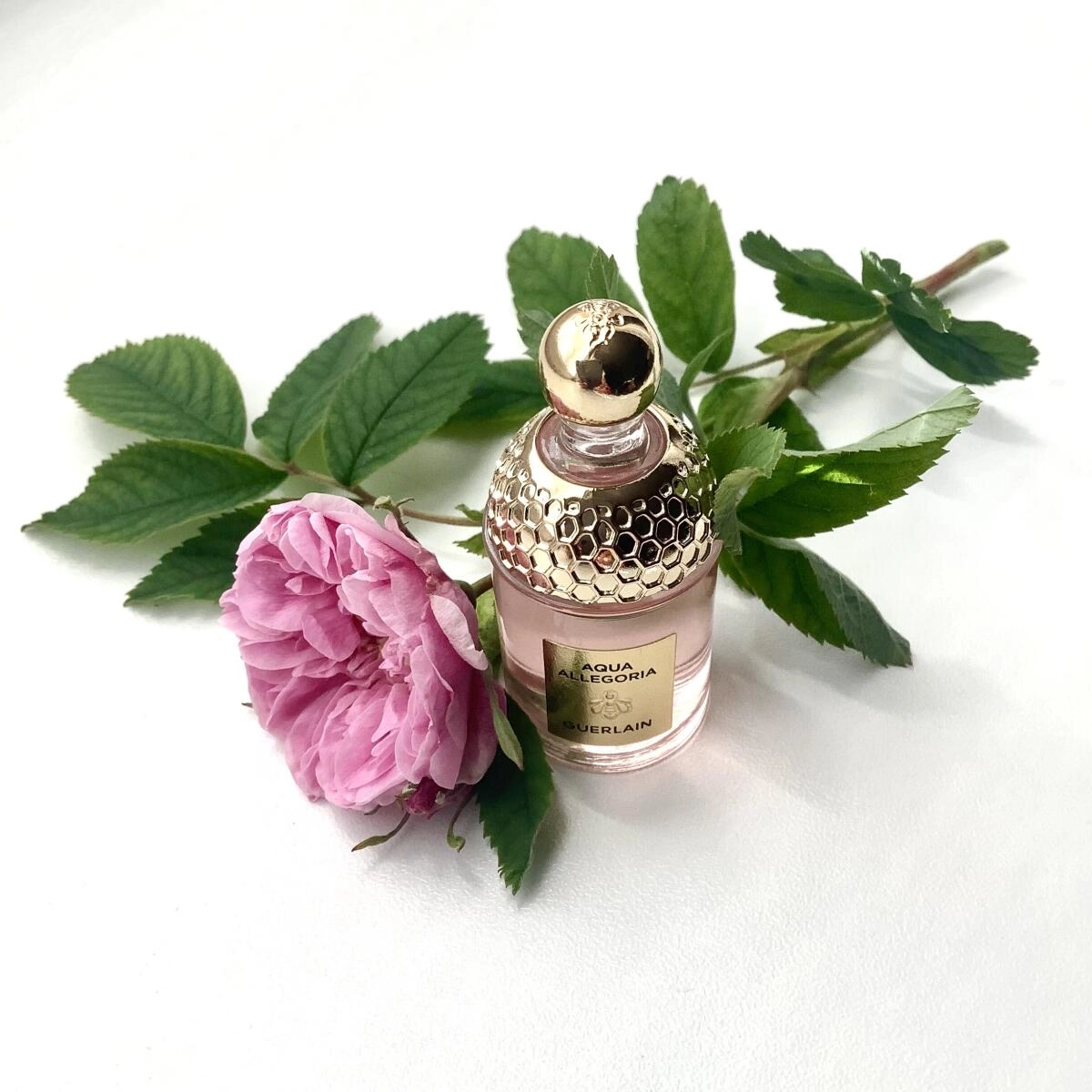 Guerlain Aqua Allegoria Forte Rosa Rossa Guerlain Aqua Allegoria Forte Rosa Rossa