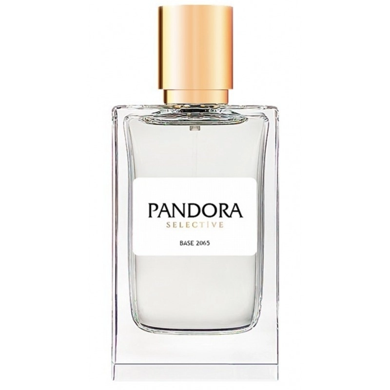 Фото Pandora Selective Base 2065