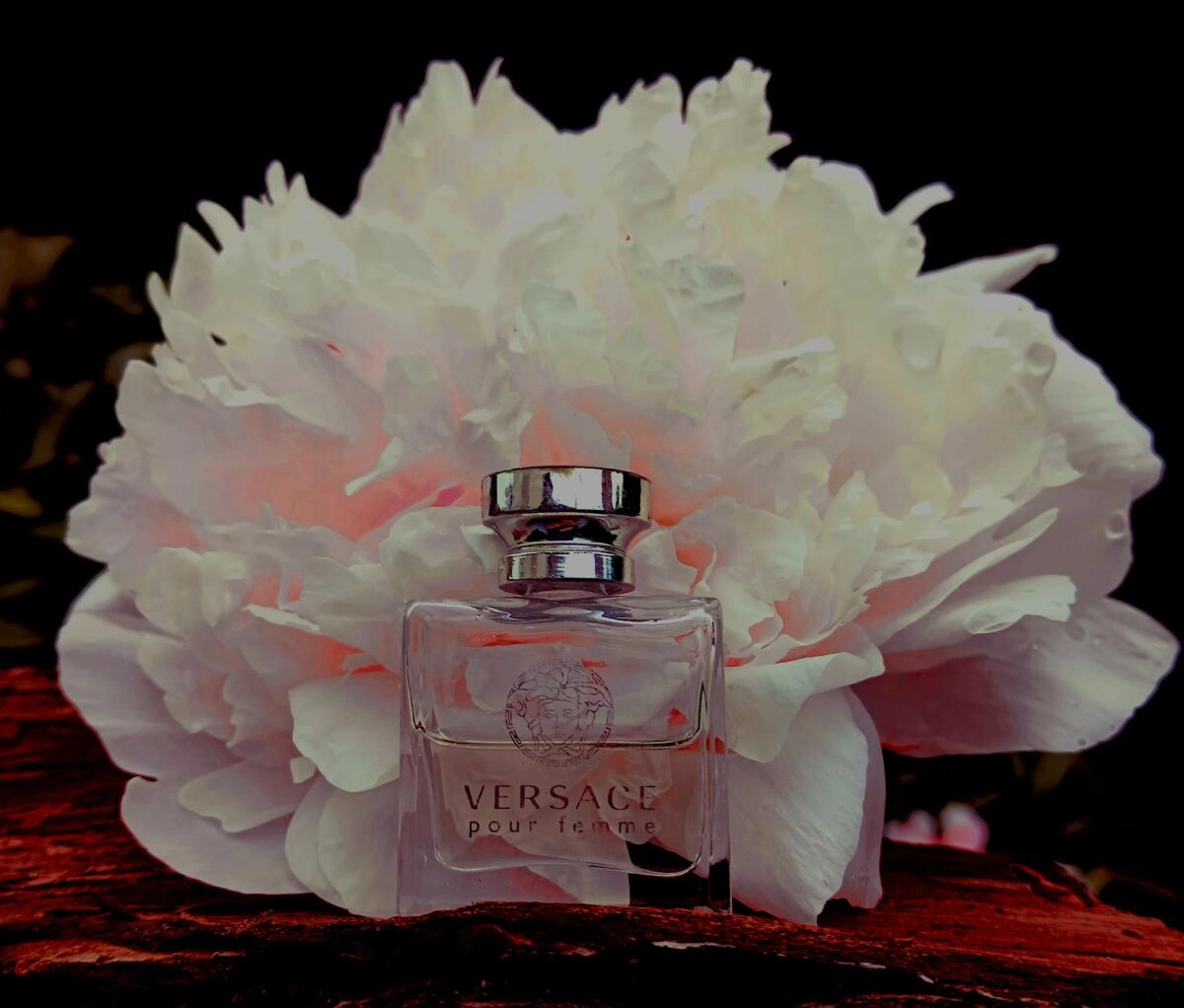 Versace Versace