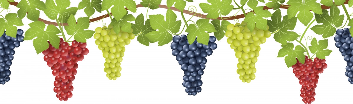 Фото Grape Leaves