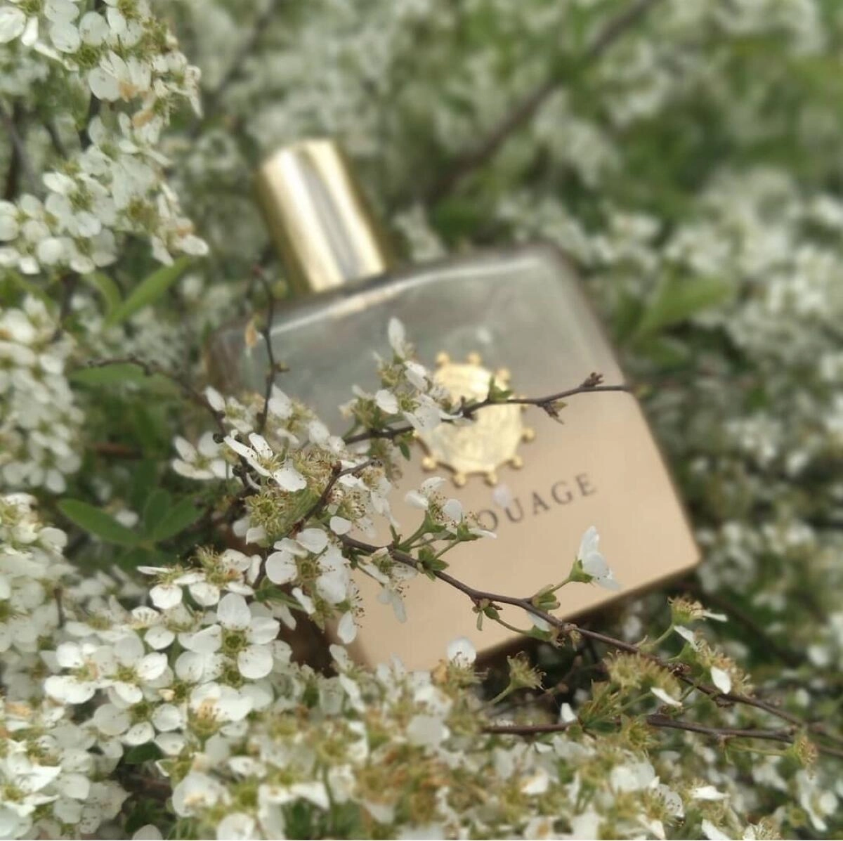 Amouage Ubar for Woman Amouage Ubar for Woman