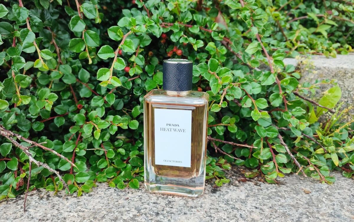Prada Heat Wave Prada Heat Wave