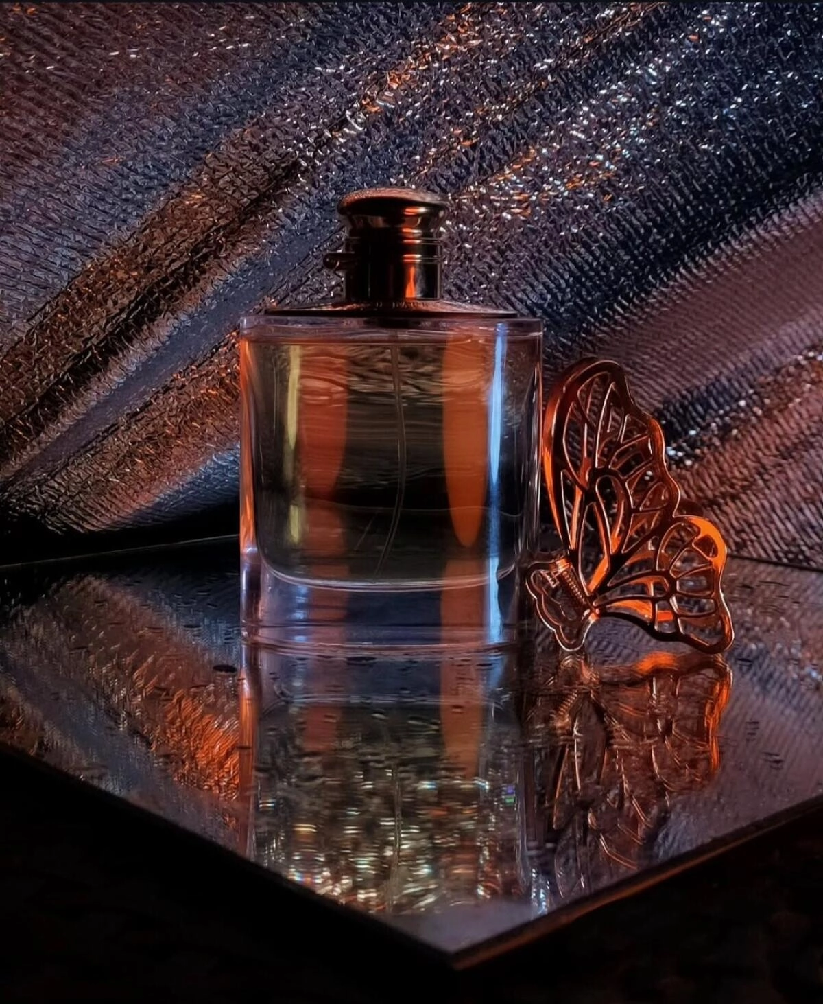 Woman by Ralph Lauren Woman by Ralph Lauren