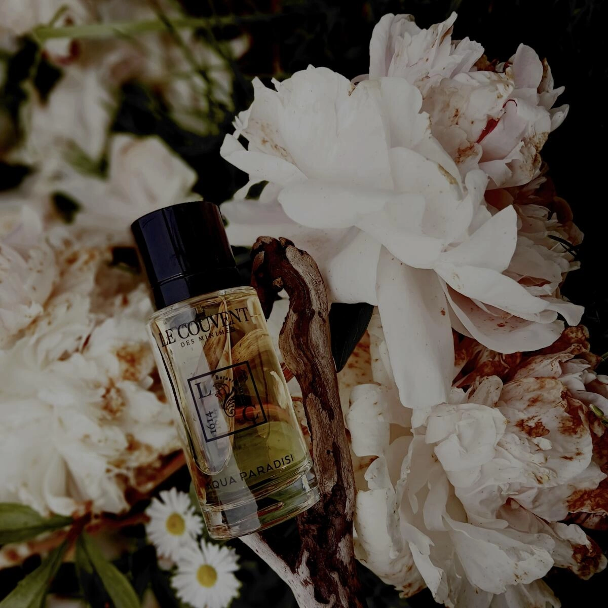 Le Couvent Maison de Parfum Aqua Paradisi Le Couvent Maison de Parfum Aqua Paradisi
