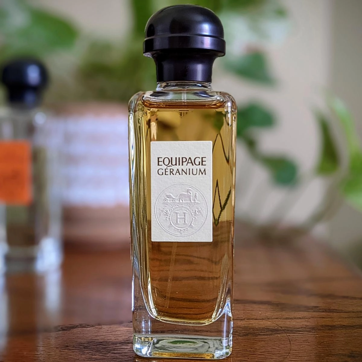 Hermes Equipage Geranium Hermes Equipage Geranium